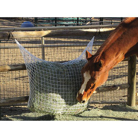 Freedom Feeder® Extended Day