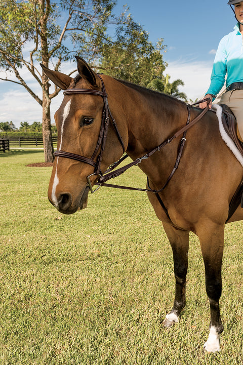Walsh™ German Martingale