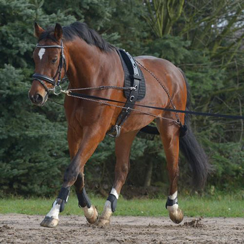 Waldhausen Lungeing System