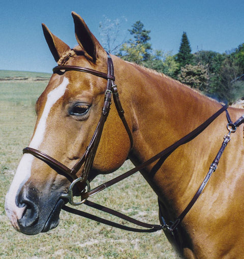Tory Leather Company Breastplate Draw Reins