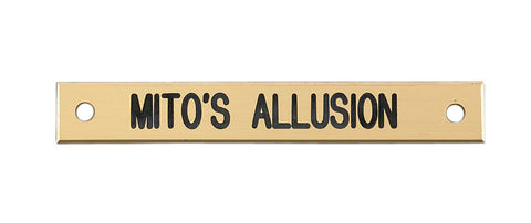 Small Rectangular Halter Nameplate