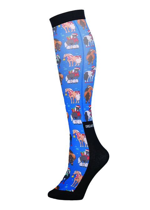 Dreamers and Schemers Pair and a Spare Socks