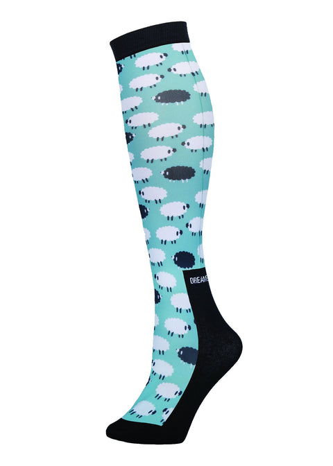 Dreamers and Schemers Pair and a Spare Socks
