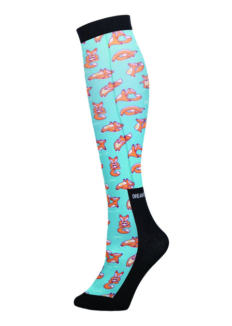 Dreamers and Schemers Pair and a Spare Socks
