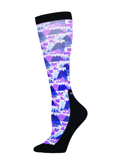 Dreamers and Schemers Pair and a Spare Socks