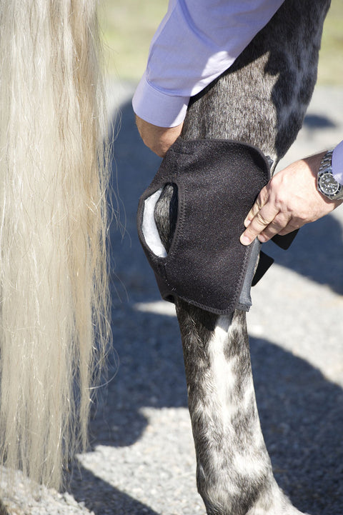Ice Horse® Pony Hock Wrap – Pair