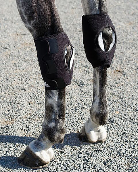 Ice Horse® Pony Hock Wrap – Pair