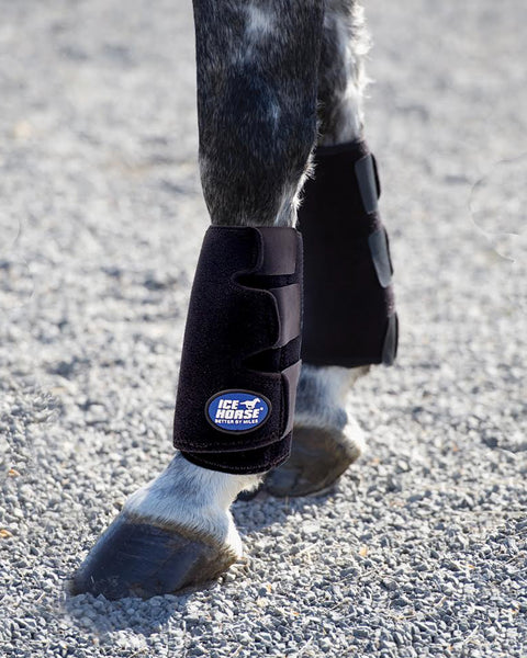 Ice Horse® Tendon Wrap, Single