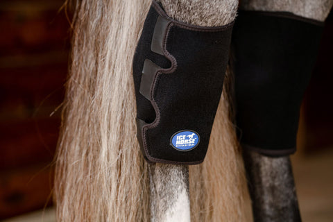 Ice Horse® Pony Hock Wrap