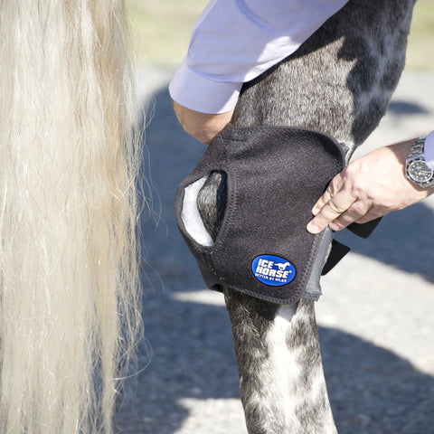 Ice Horse® Pony Hock Wrap