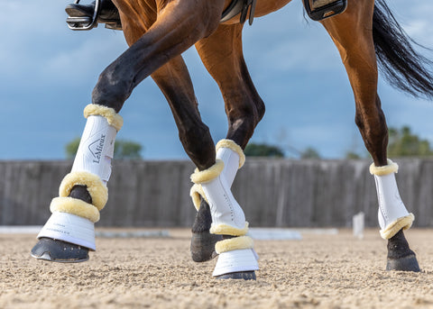 LeMieux® Motionflex Overreach Boots with Simuwool