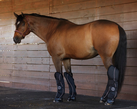 Rider’s International™ Shipping Boot Set