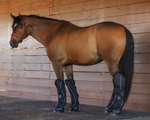 Rider’s International™ Shipping Boot Set