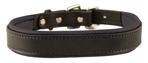 Perri’s® Padded Leather Nameplate Dog Collar