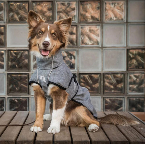 Back on Track® Nella Small Dog Coat