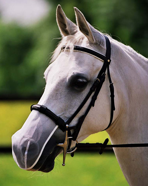 Equilibrium Net Relief Muzzle Net