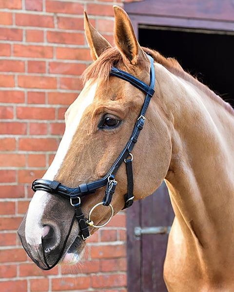Equilibrium Net Relief Muzzle Net