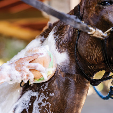 The Tack Hack Burger Body Sponge