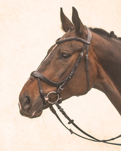 Schockemöhle Equitus Alpha Bridle