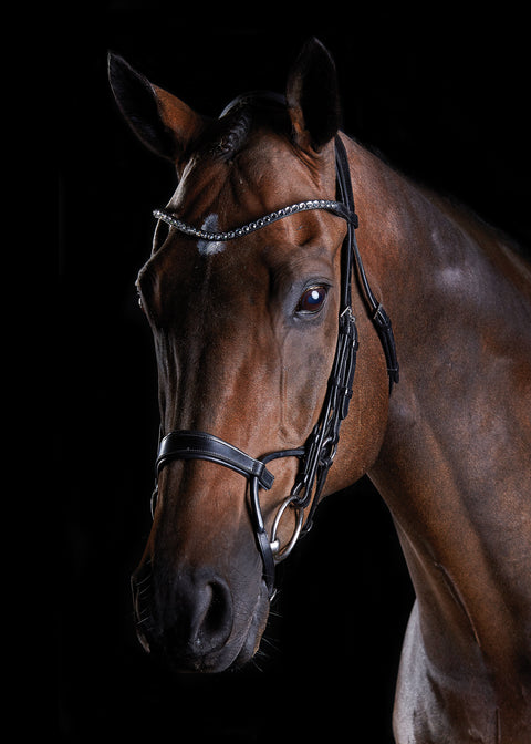 Collegiate® ComFiTec™ Crystal Bridle