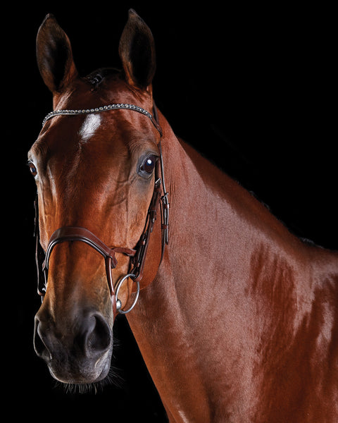 Collegiate® ComFiTec™ Crystal Bridle