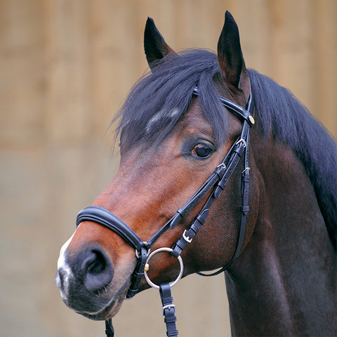 Kavalkade Lina Drop Noseband Snaffle Bridle