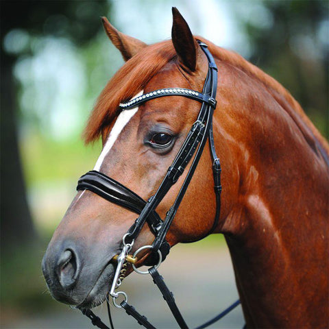 Kavalkade Antonia Double Bridle