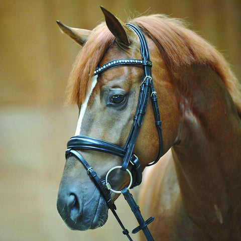 Kavalkade Isabella Drop Nose Bridle