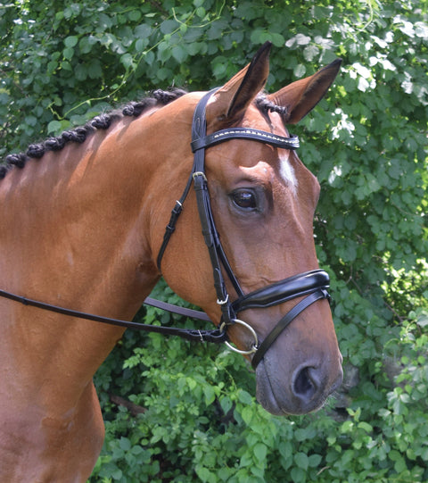 Red Barn Topline Bridle