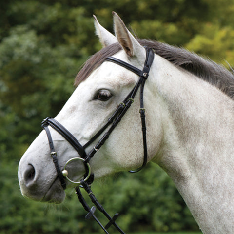 Kieffer Anja Beran Snaffle Bridle