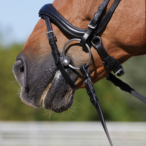 Kieffer Rachel Anatomical Bridle