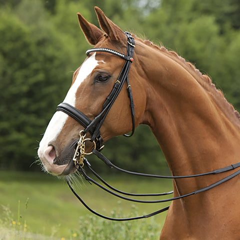 Kieffer Sylvie Double Bridle