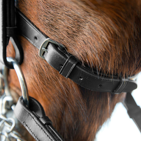 Horze Vienna Weymouth Dressage Bridle