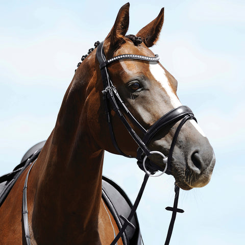 Passier® Atlas Snaffle Bridle