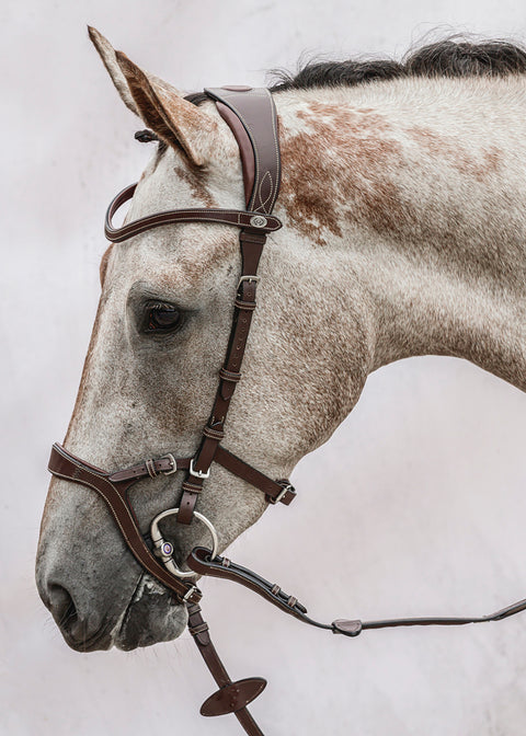 PS of Sweden Nirak™ Bridle
