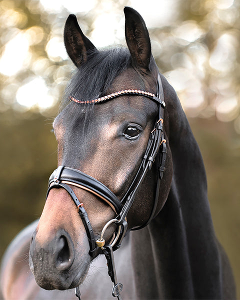 Kavalkade Rose Bridle
