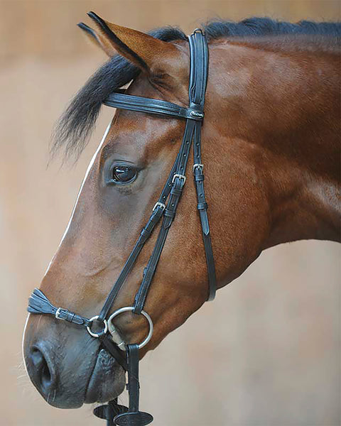 Kavalkade Levana Drop Noseband Bridle