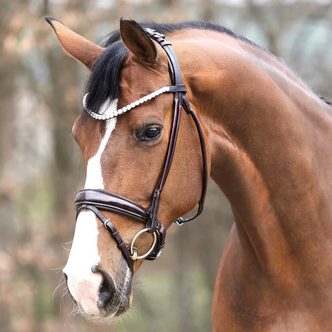 Kavalkade Florina Bridle