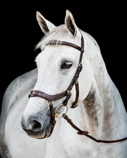 Horseware® Ireland Micklem2 Multibridle USA with Reins
