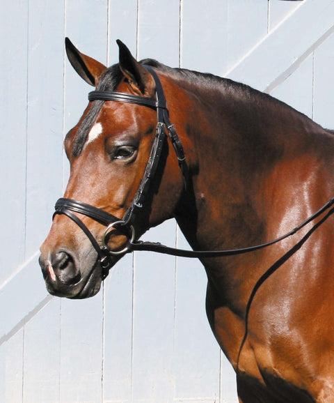 Tory Leather Company Deluxe Padded Dressage Bridle with Buckle Bit Ends