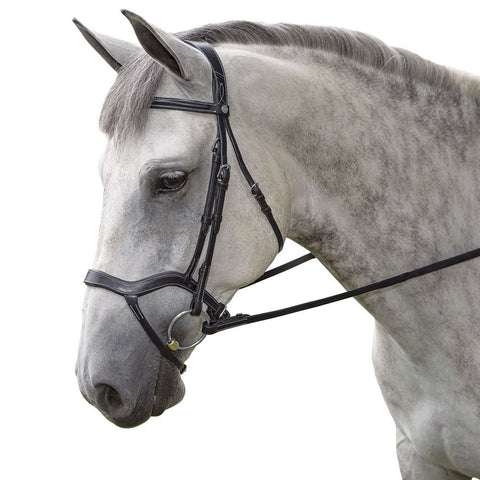 Marcel Toulouse Hybrid Dressage Bridle