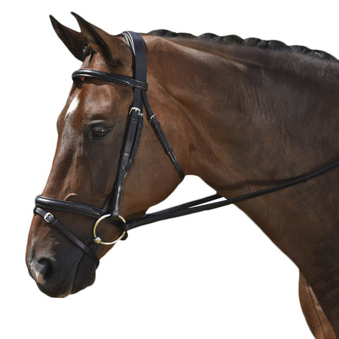 Marcel Toulouse Classic Dressage Bridle