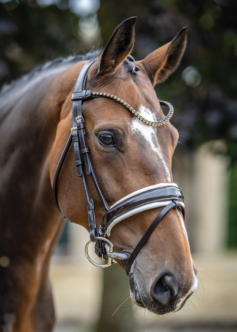 LeMieux® Kudos Patent Leather Dressage Bridle
