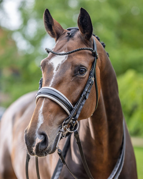 LeMieux® Kudos Patent Double Bridle