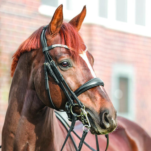 Kavalkade Sonya Double Bridle