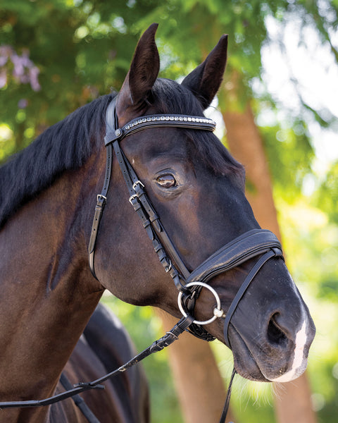 Halter Ego® Doc Marten Snaffle Bridle