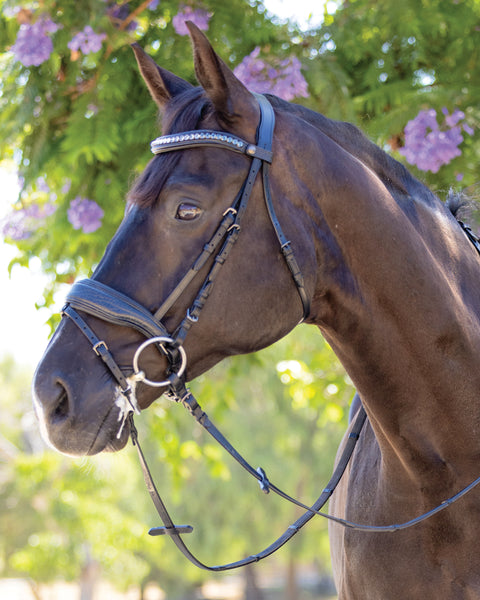Halter Ego® Doc Marten Snaffle Bridle