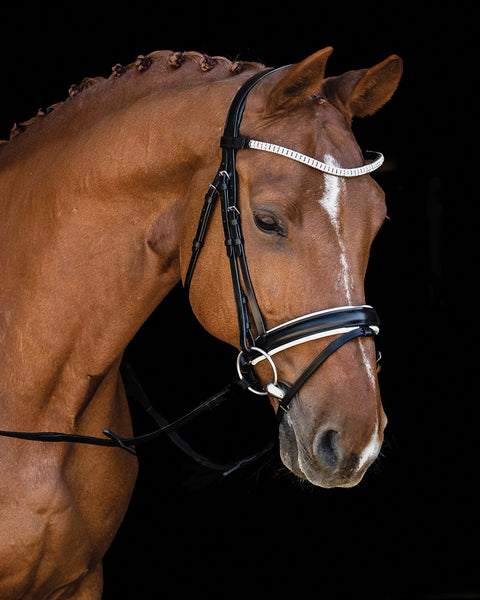 Schockemöhle Malaga Bridle