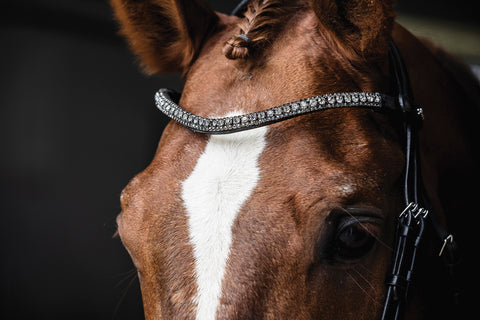 Schockemöhle Malaga Bridle