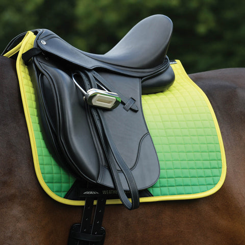WeatherBeeta® Prime Ombré Dressage Pad